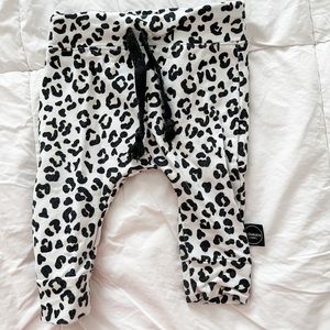 PlumKids leopard Print pants | 3-6 months